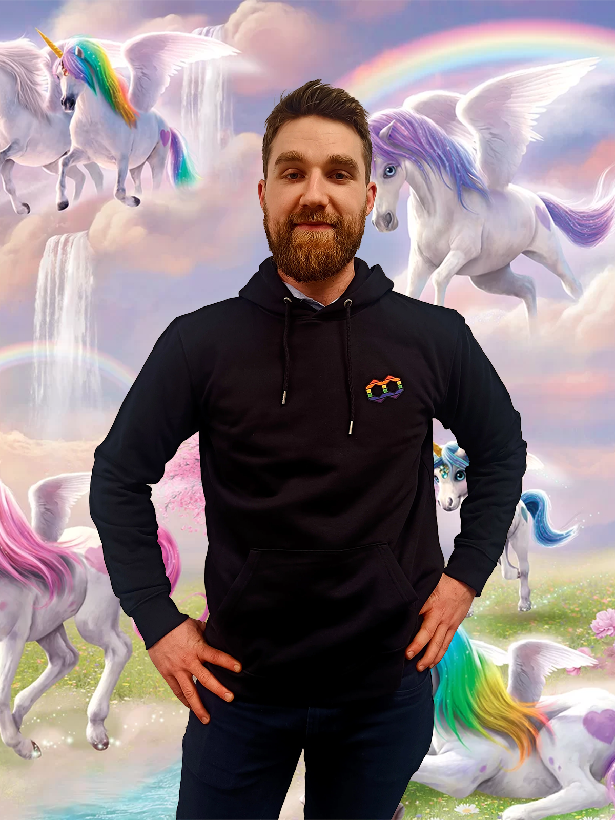 The Dataroots Rainbow Hoodie v1